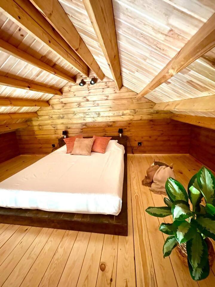 Mountain Eco Shelter 3 *